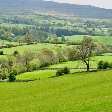 Beckfords Tower Copy