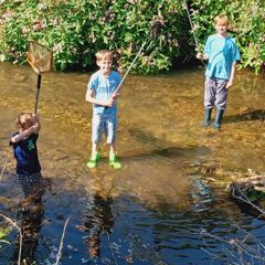 image of three young boys net fishing in a shallow stream